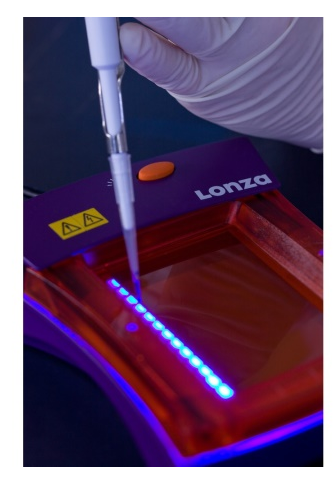 Lonza FlashGel Lonza DNA Marker 50 bp 1 kb 500 ul